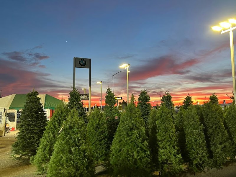 Photo of Lamb's Christmas Trees Fairfield Ca
