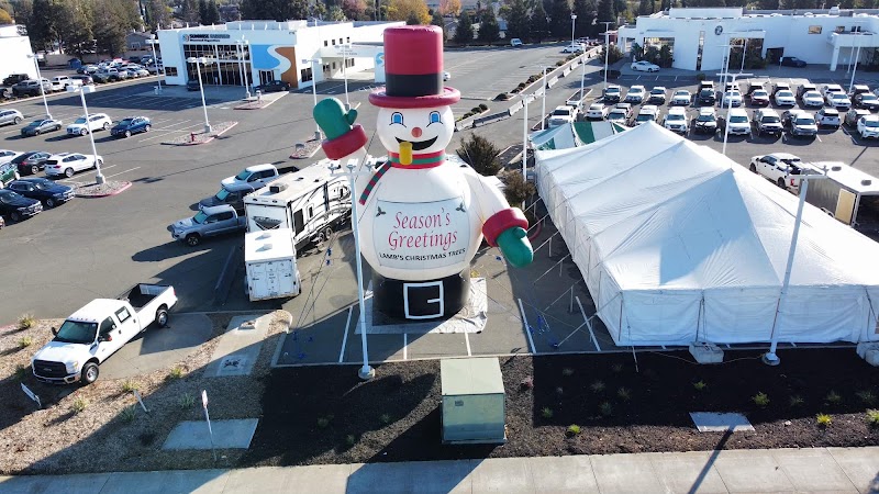 Lamb's Christmas Trees Fairfield Ca photo 4