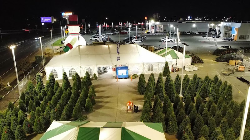 Lamb's Christmas Trees Fairfield Ca photo 2