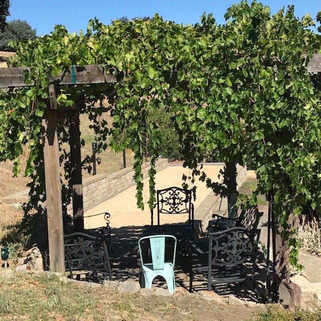 Deer Hill Vineyards photo 5