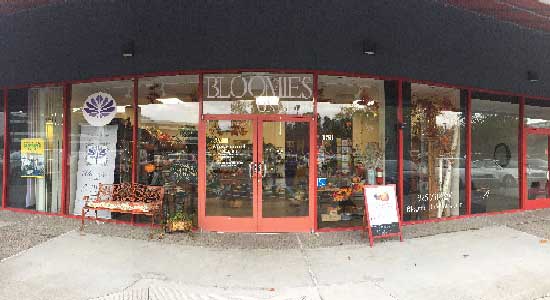 Bloomies Studio