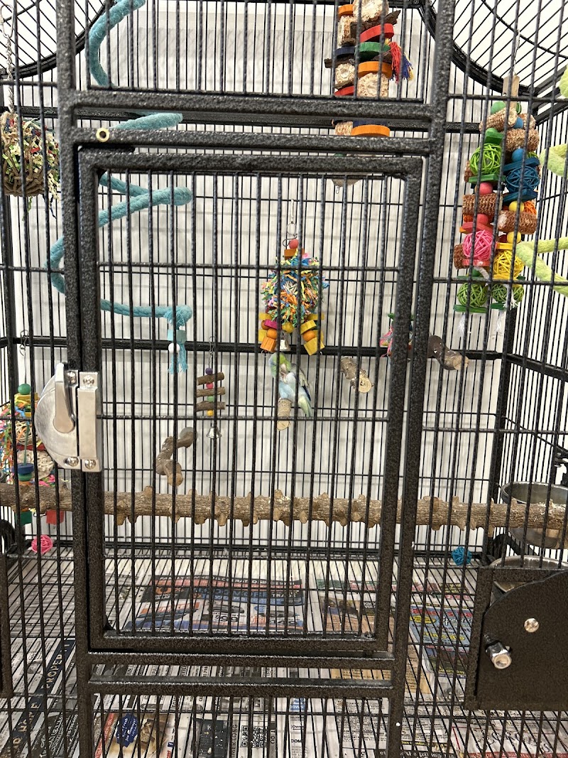 Piper Boutique photo 2