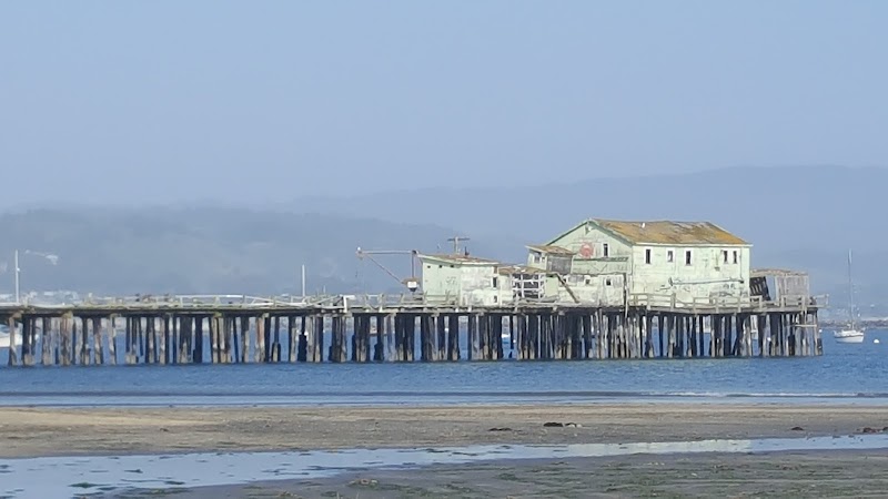 Photo of Romeo Packing Co.