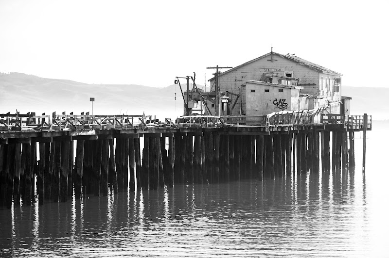 Romeo Packing Co. photo 4