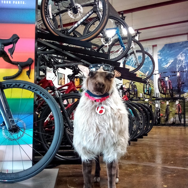 Trek Bicycle Seminole photo 3