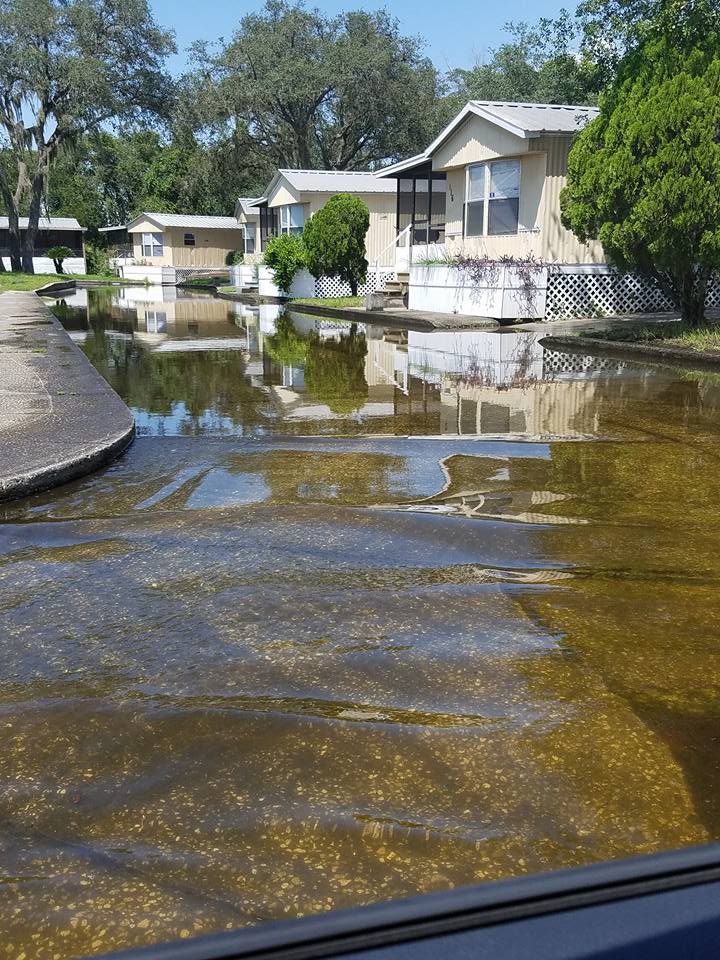 Bullfrog Creek Mobile Home Park photo 5