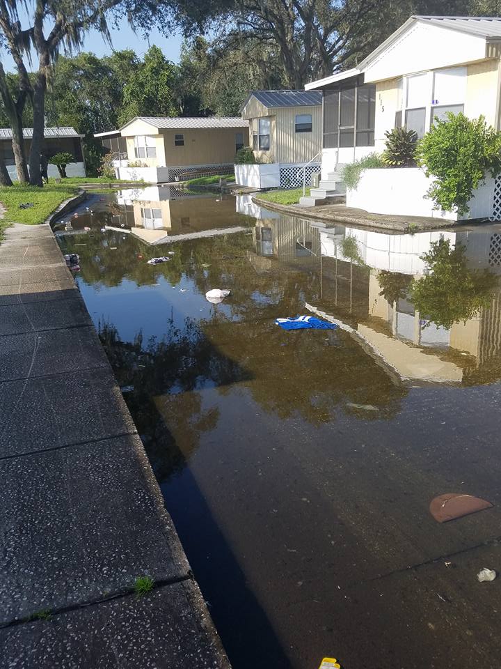 Bullfrog Creek Mobile Home Park photo 2
