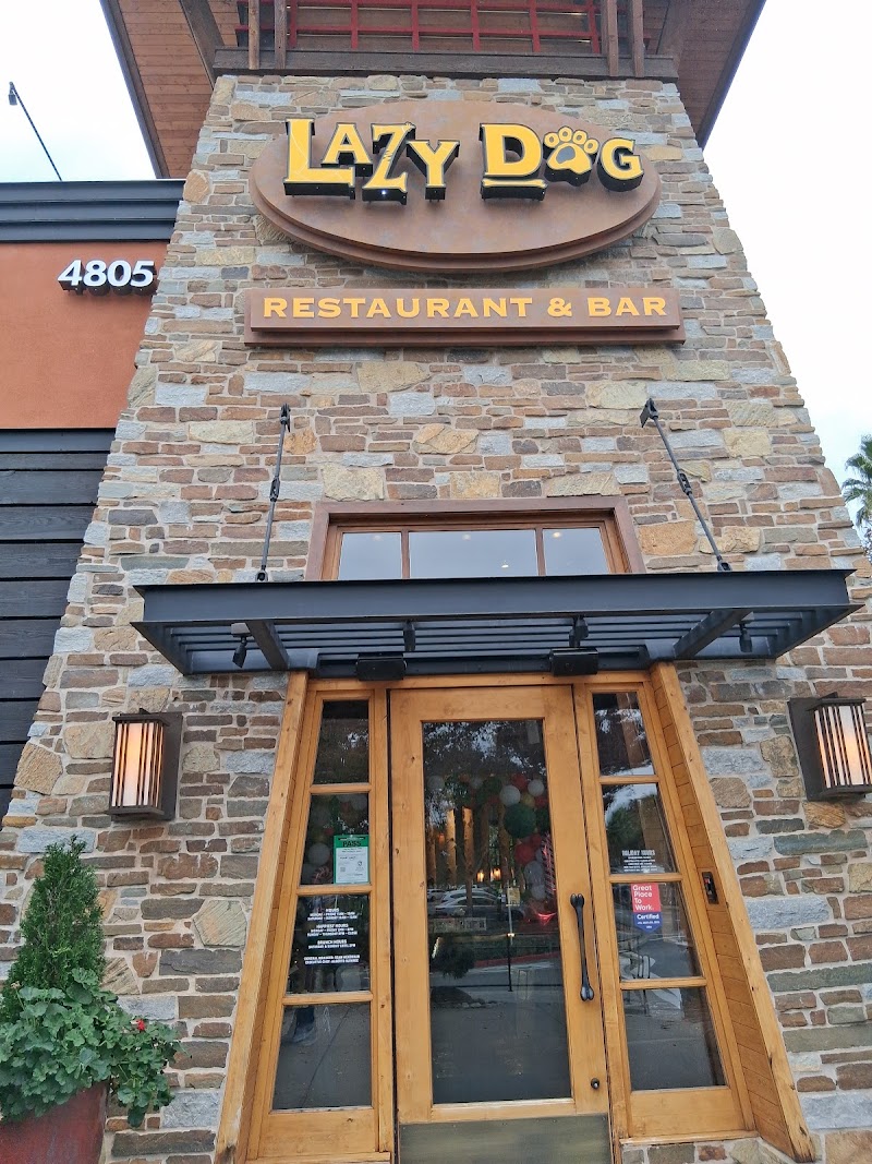 Lazy Dog Restaurant & Bar photo 3