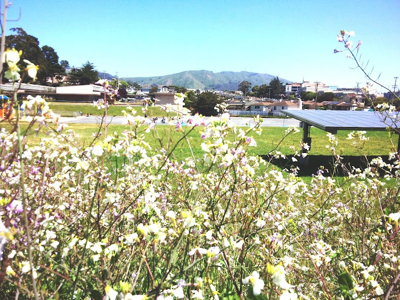 Garden Village Elementary School photo 3