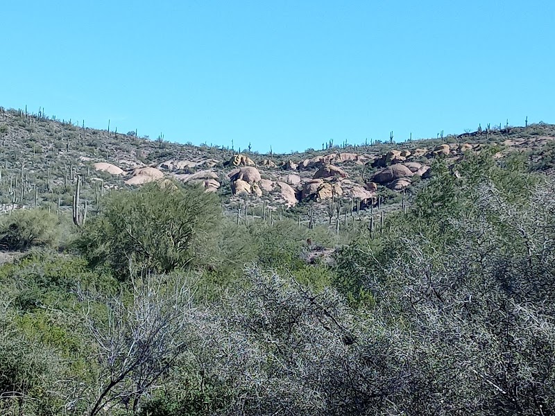 Bulldog Canyon OHV - Wolverine Gate photo 4