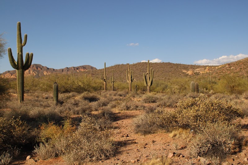 Bulldog Canyon OHV - Wolverine Gate photo 2