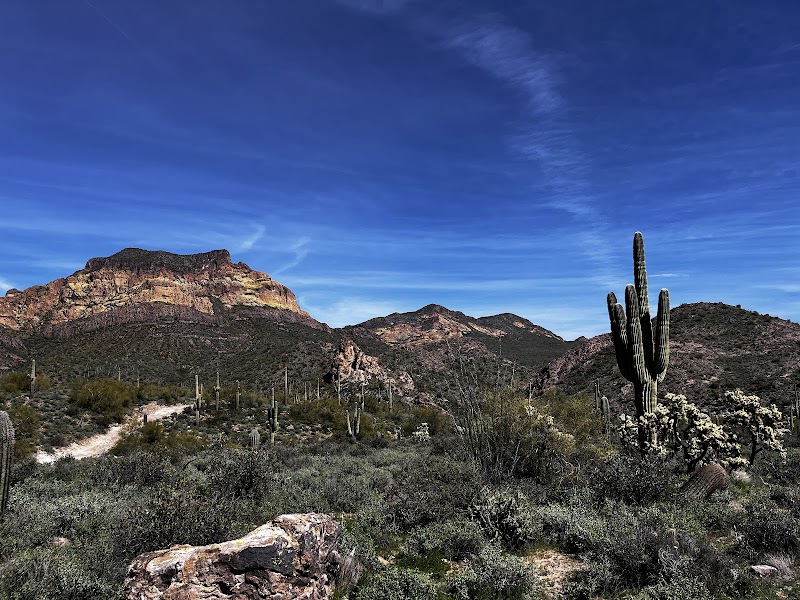 Photo of Bulldog Canyon OHV - Wolverine Gate