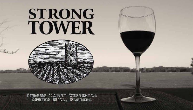 Strong Tower Vineyard & Winery photo 2