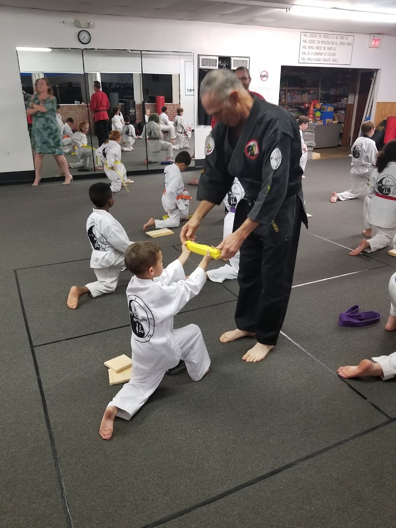 U S Tae Kwon Do Hapkido photo 3