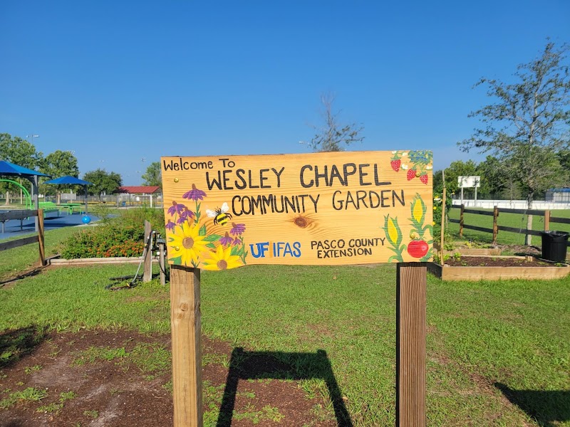 Photo of Wesley Chapel Community Garden