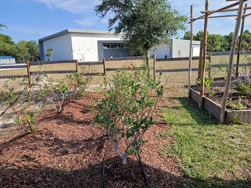 Wesley Chapel Community Garden photo 2