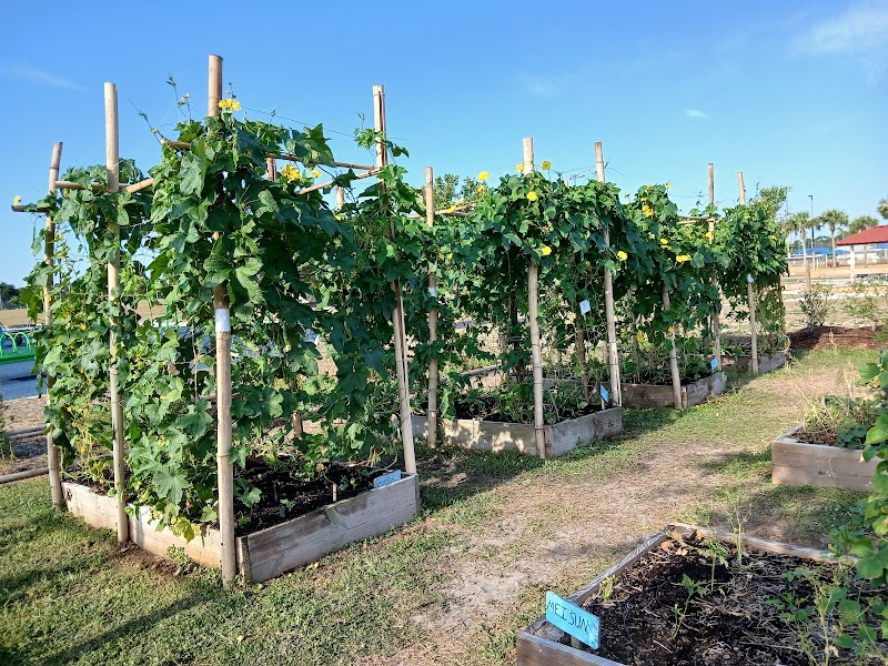 Wesley Chapel Community Garden photo 3