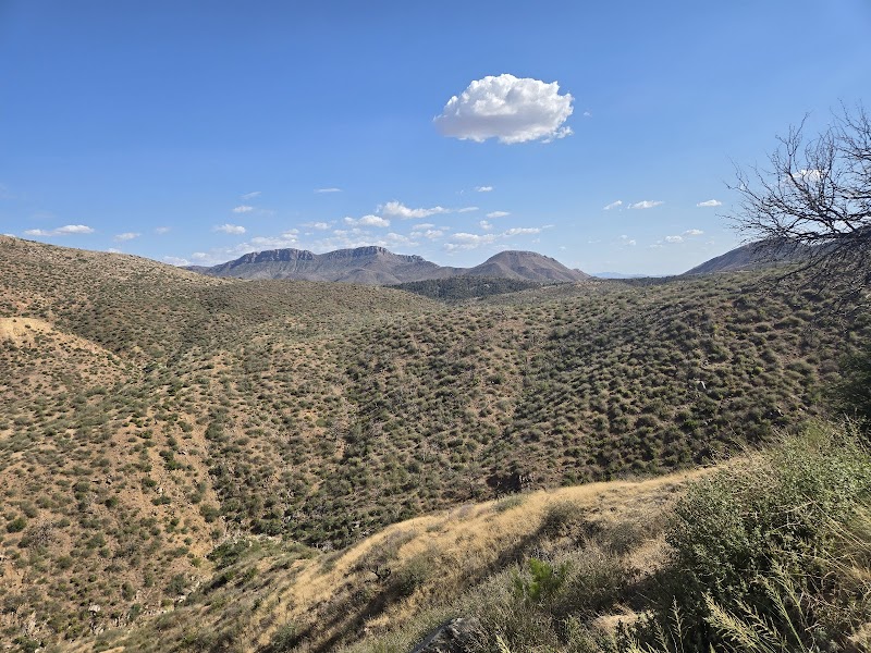 Photo of Pinal Pass Roadside Tables