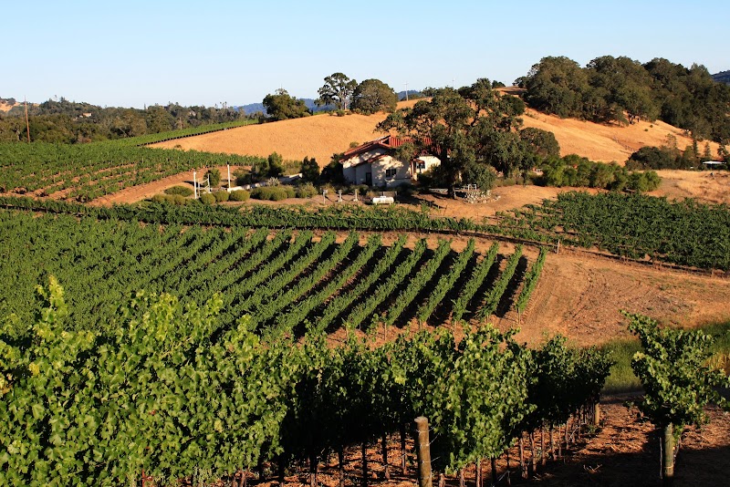 Photo of William Gordon Winery & William Gregory Winery
