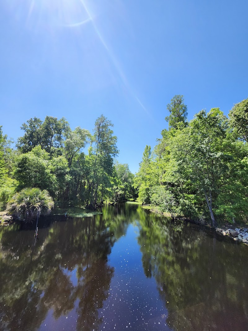 Cypress Creek Preserve photo 5