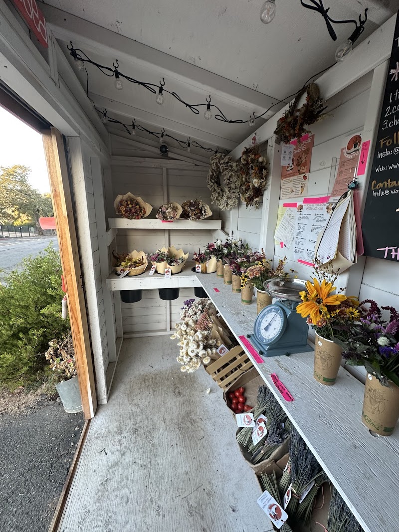 Sunnyside Farm Stand photo 2