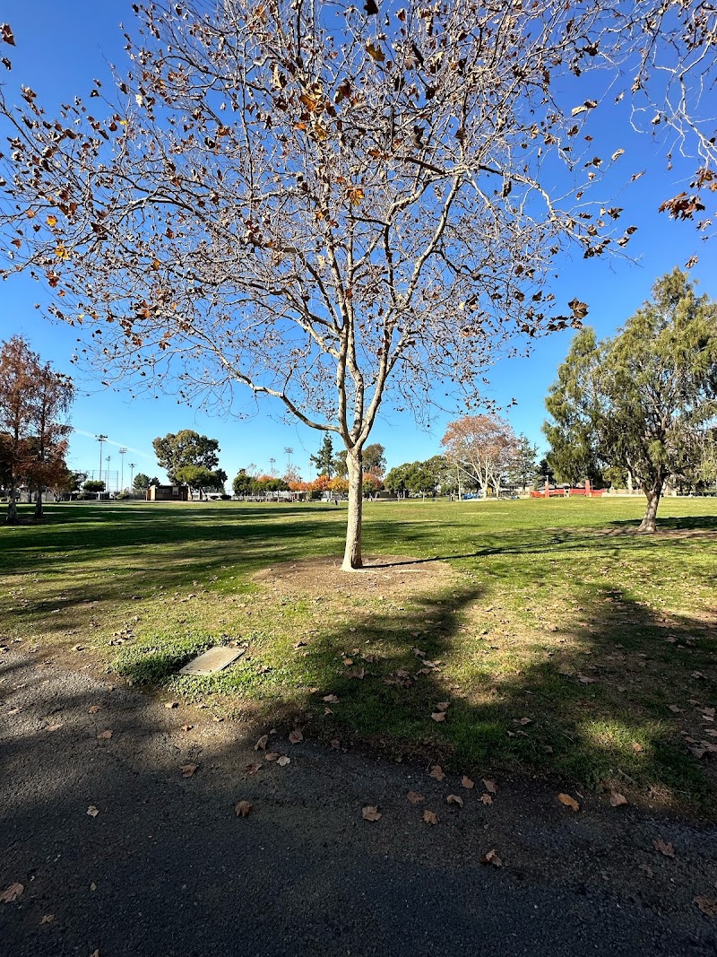 Kennedy Park Amphitheater Picnic Area photo 4