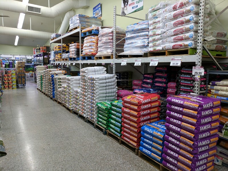 Pet Club Corte Madera photo 5