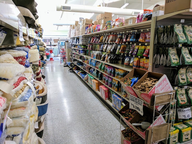 Photo of Pet Club Corte Madera