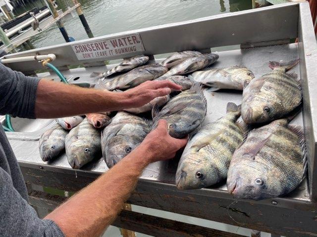 Bay Reef Fishing Charters photo 3