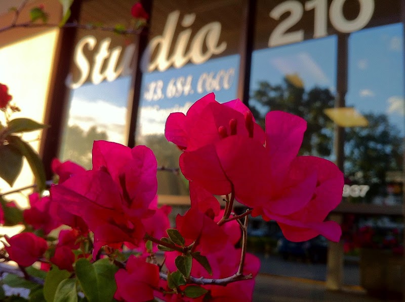 Studio 210 Salon photo 3