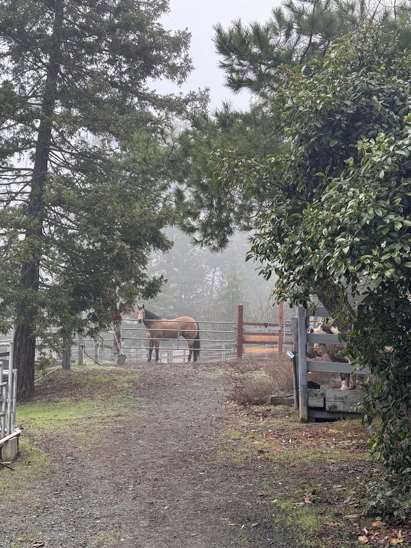 Photo of Serendipity Stables