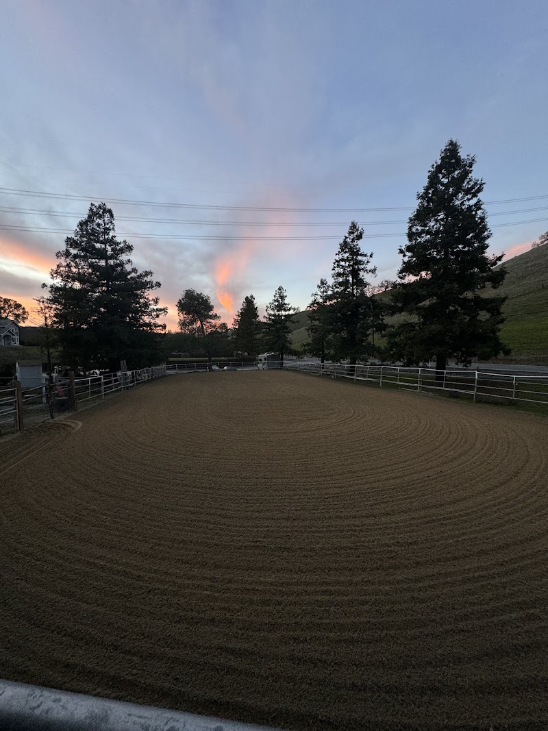 Serendipity Stables photo 2
