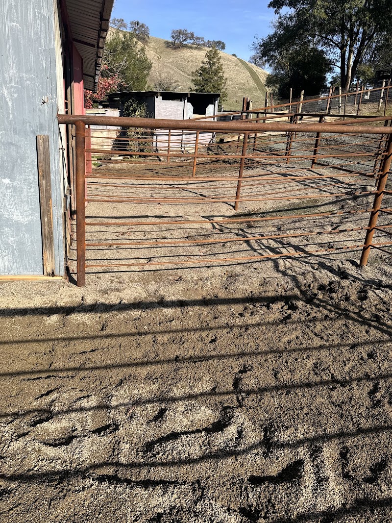 Serendipity Stables photo 3