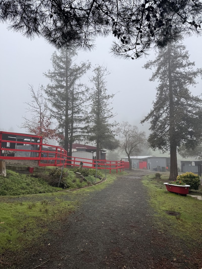 Serendipity Stables photo 4
