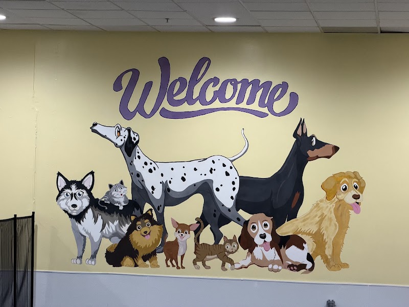 Fur Seasons Pet Manor photo 3