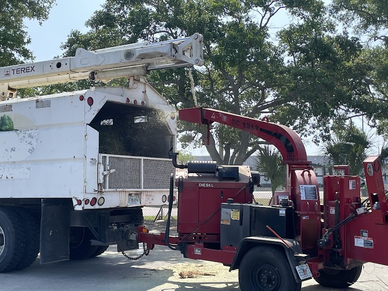 Riverview tree services photo 2