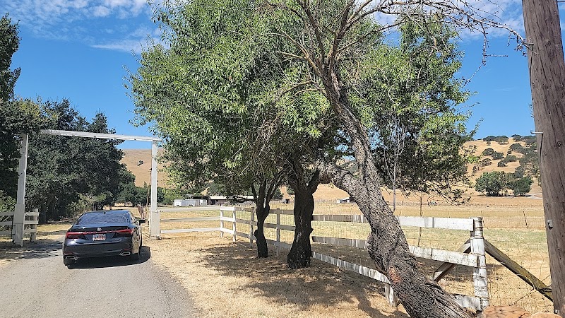 Photo of Shady Draw ranch