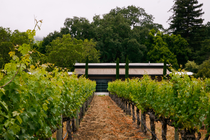 Rutherford Wine Vault photo 3