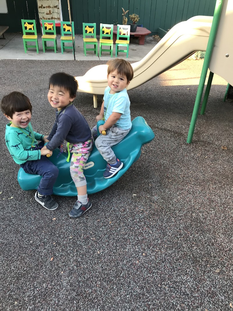 Berkeley International Montessori School photo 4