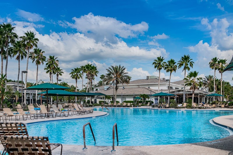 Dania Alvarez, Realtor at RE/MAX Realty Unlimited photo 3