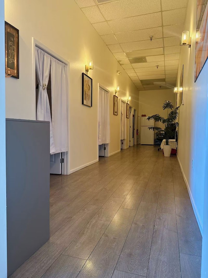 Spring Massage photo 3