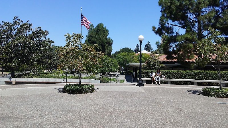 Photo of Music Library