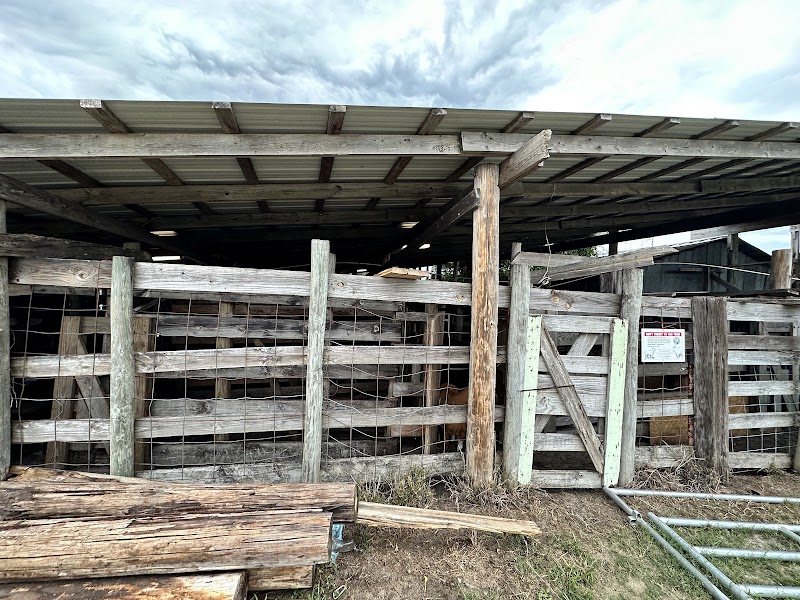 Ali’s Farm Of Groveland photo 5