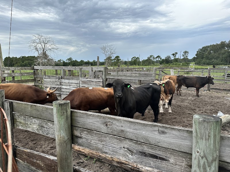 Ali’s Farm Of Groveland photo 2