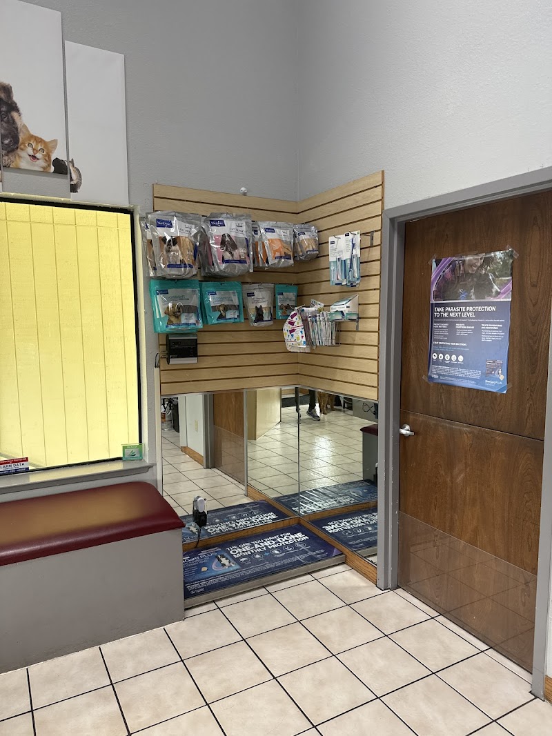 Animal Clinic of Benicia photo 3