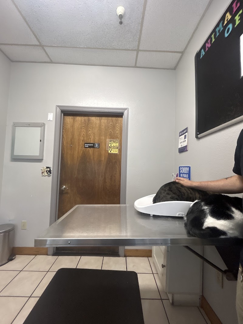 Animal Clinic of Benicia photo 2