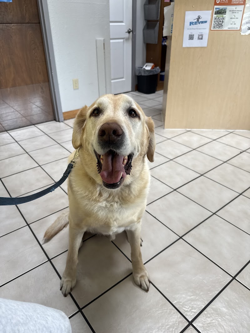 Photo of Animal Clinic of Benicia