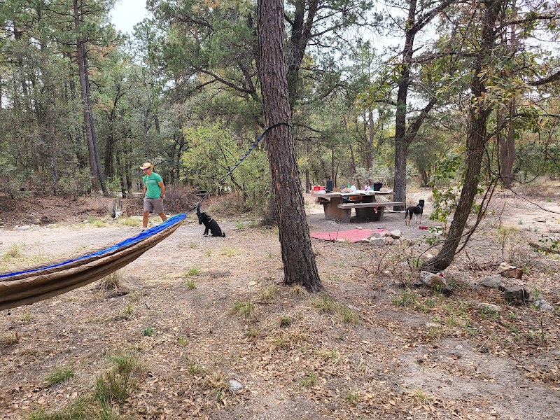 Chihuahua Pine Picnic Area photo 5