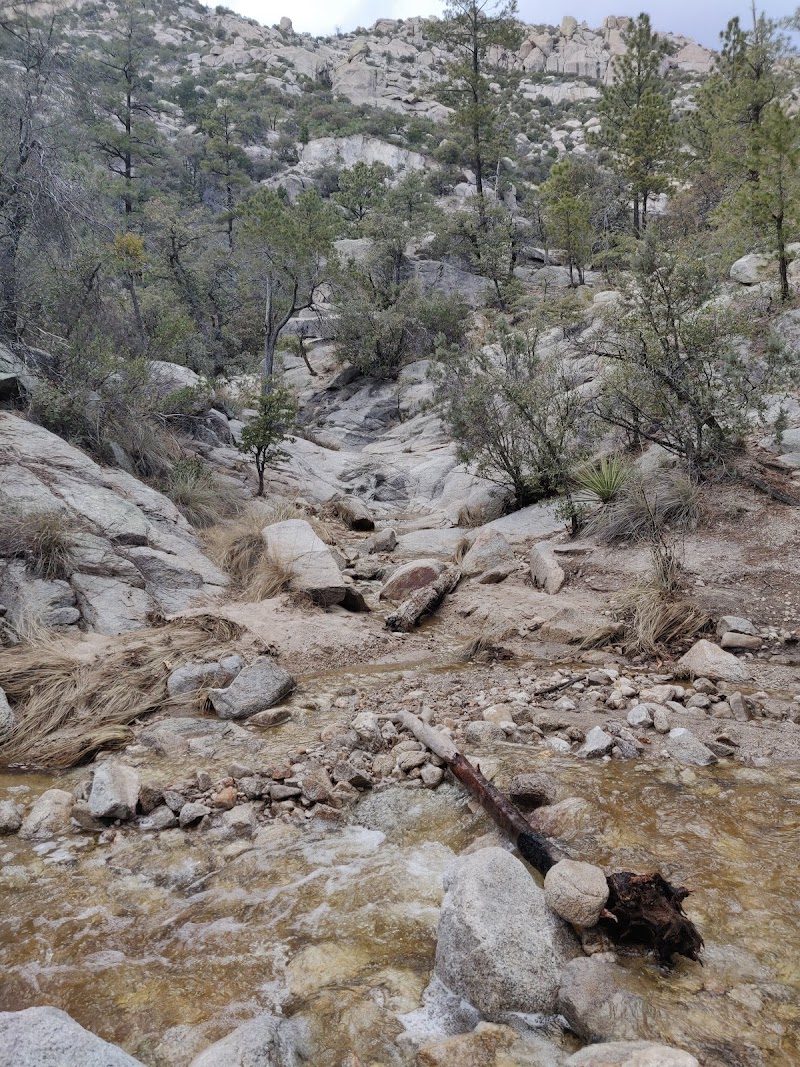 Photo of Chihuahua Pine Picnic Area