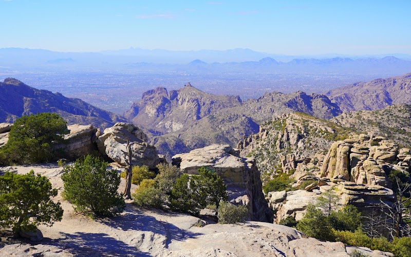 Chihuahua Pine Picnic Area photo 2